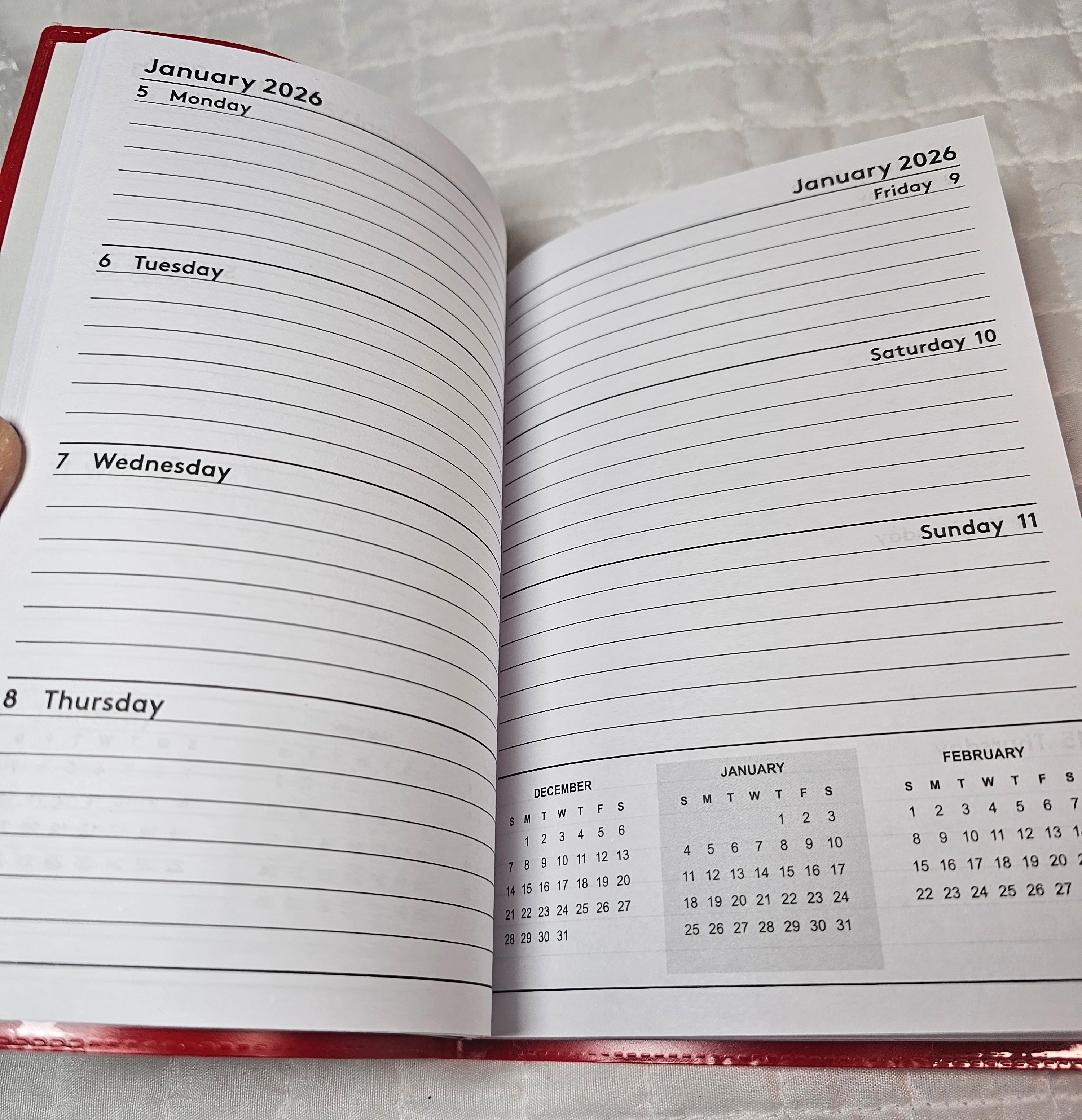 Louis Vuitton Logo & Red Cherries theme Planner