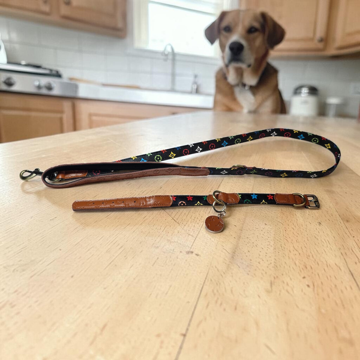Luxe Puppy/ Dog Collar and Leash Set