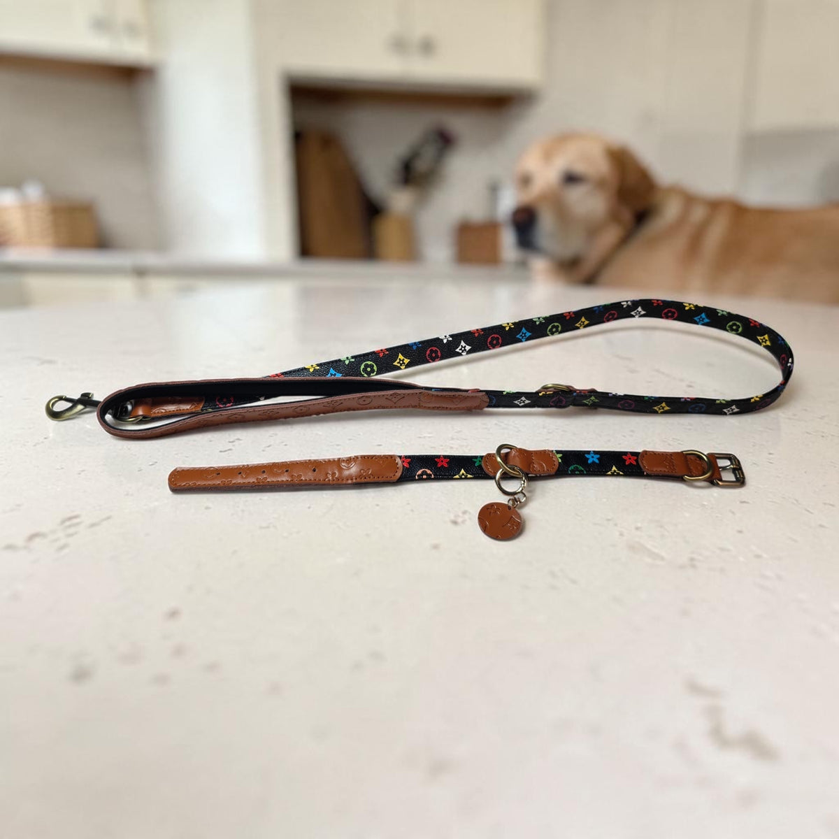 Luxe Puppy/ Dog Collar and Leash Set