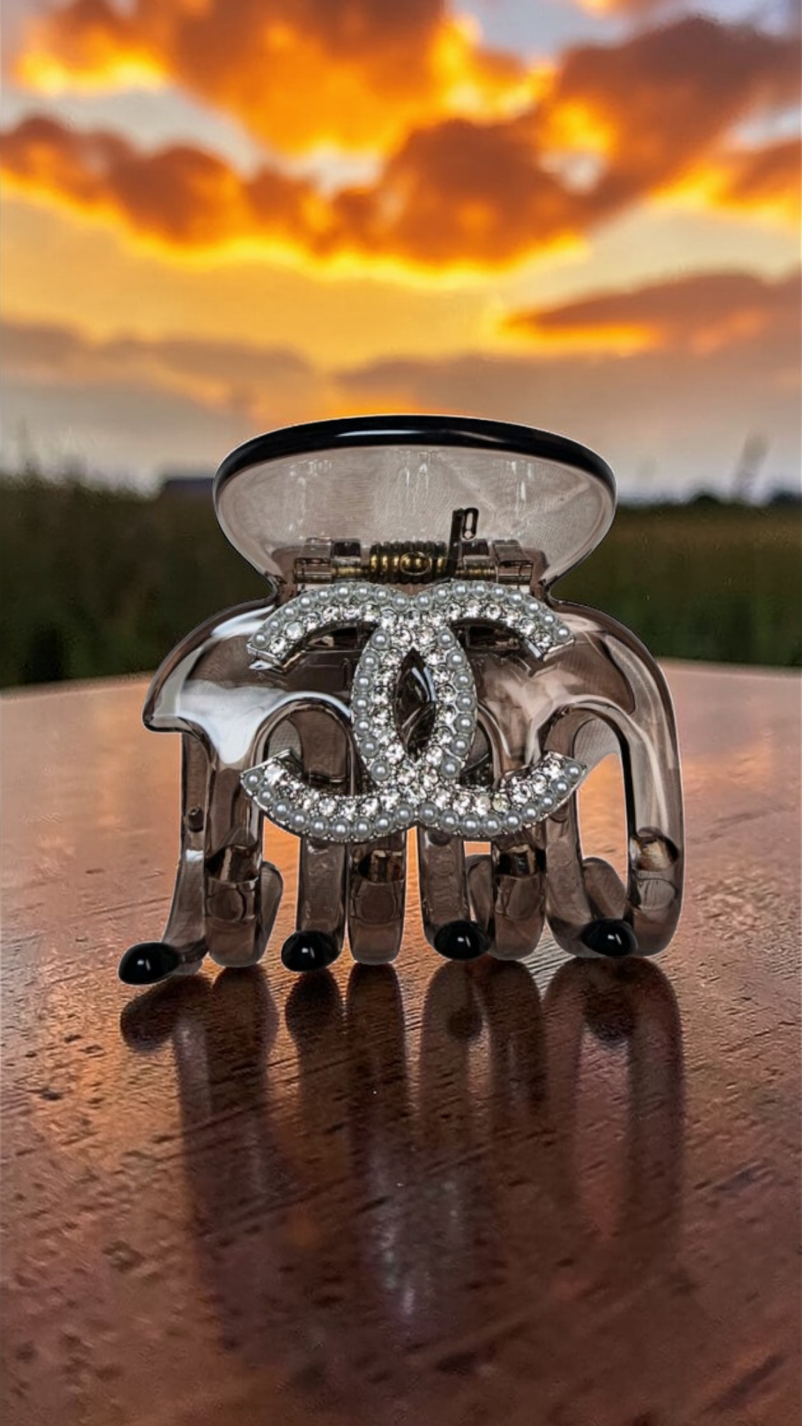 CC Logo small claw clip brown mocha