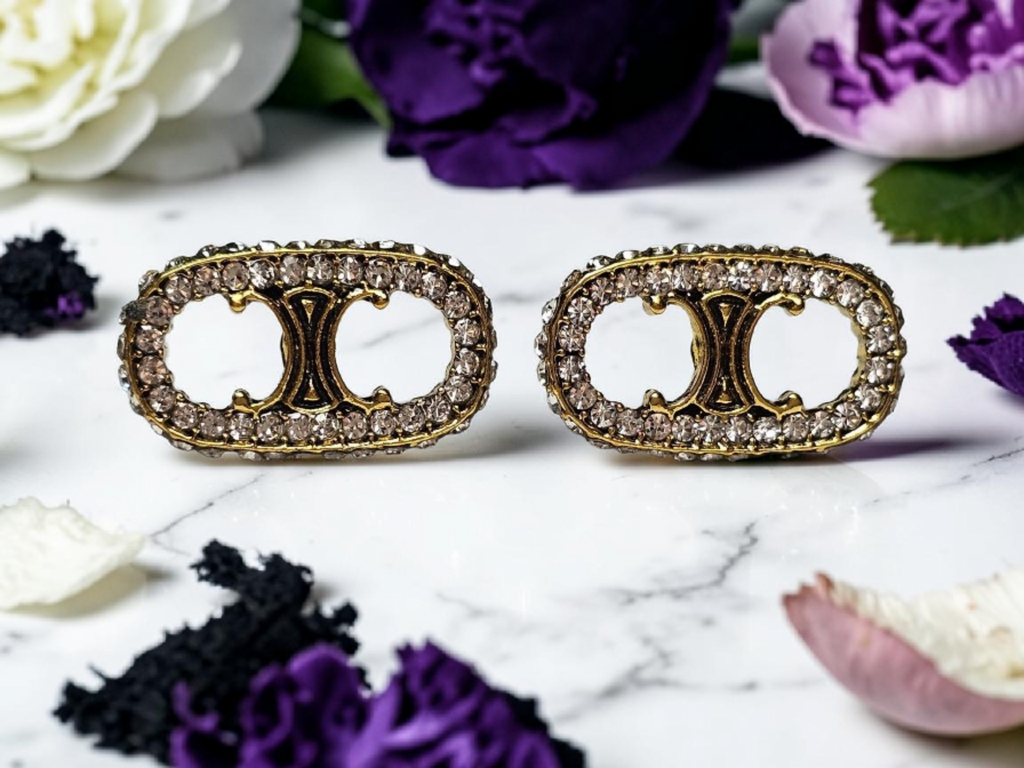 Paris Logo Earrings Pierced Studs