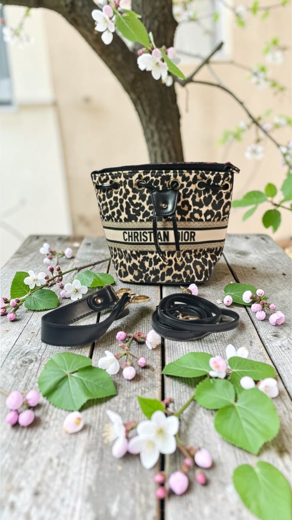 Dior Leopard print Convertible Crossbody Handbag