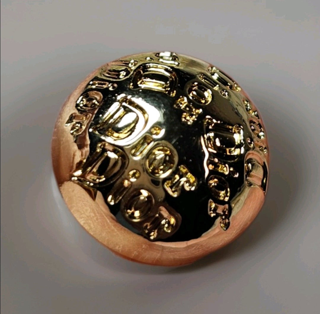 'Dior' Logo Charm Pierced Stud Earrings NEW