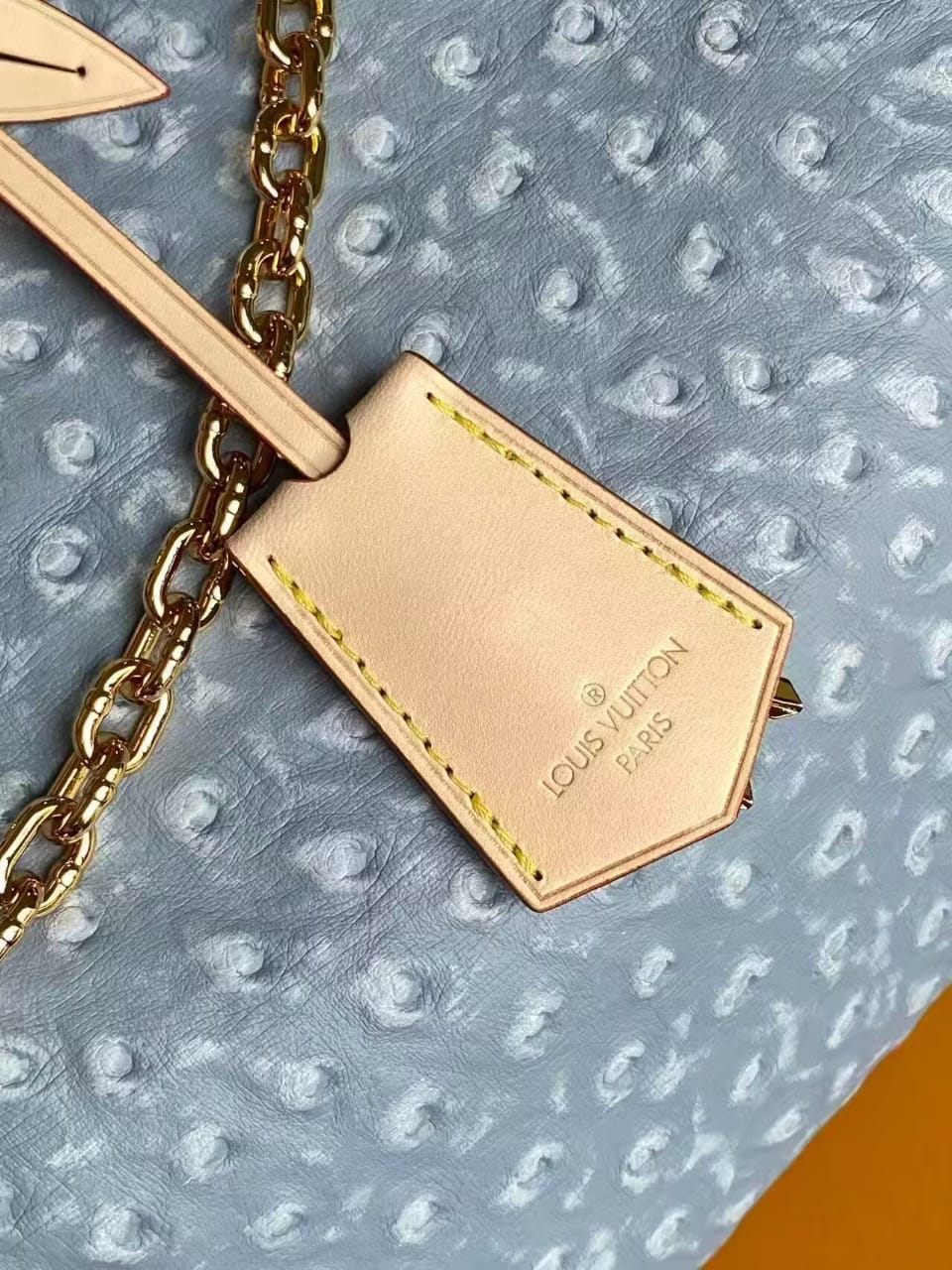 Blue Ostrich L Logo Specialty Luxury Bag 30 cm