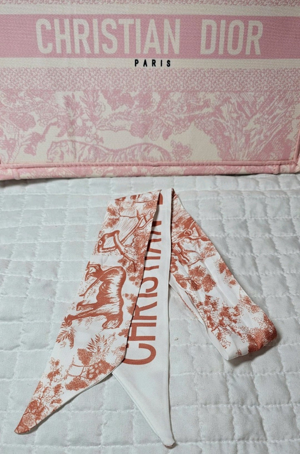 CD Bag Scarf Pink Toile de Jouy Boutique Curated Like New 100% Silk