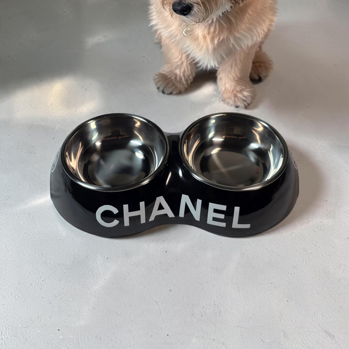 Luxury Pet Feeder 2 sided Black or White