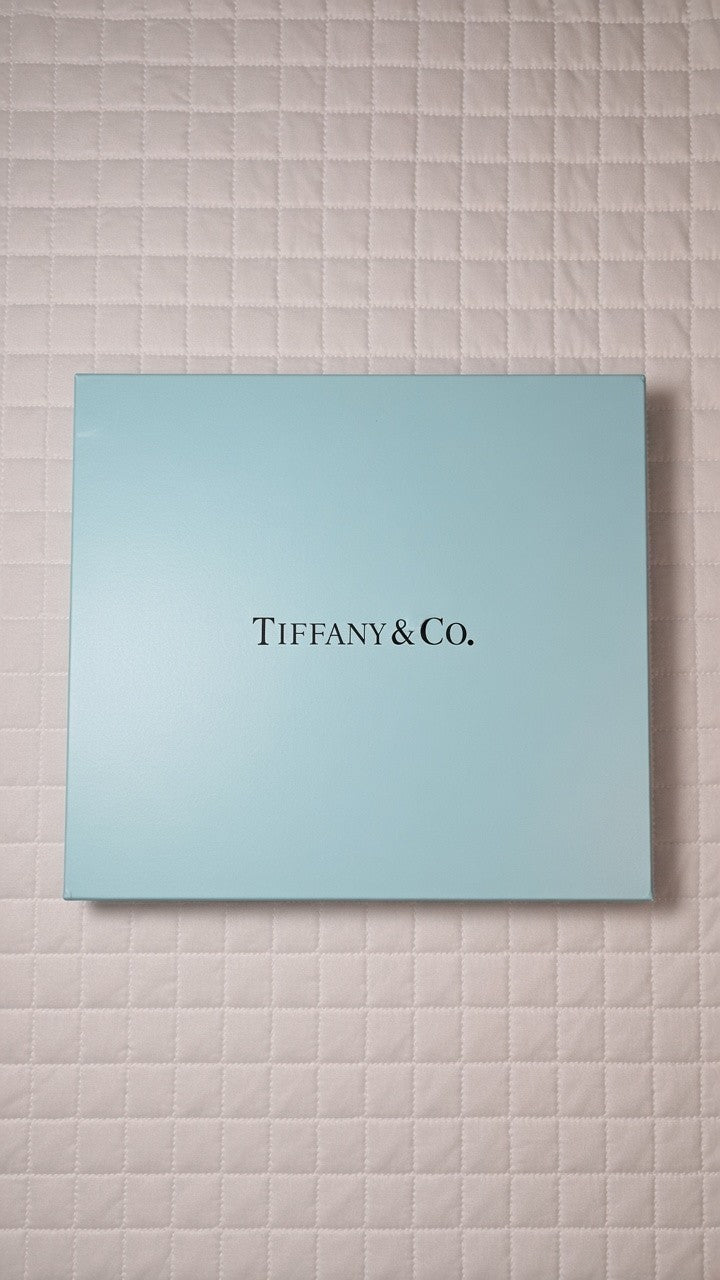 T&C Makeup Brush Gift Set New With Box